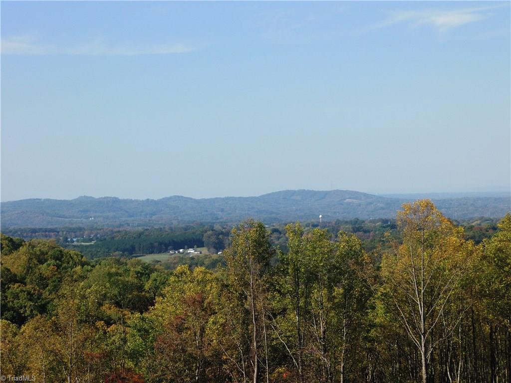 10.64 Cook School Road Pilot Mountain, NC 27041 - Photo 7 of 9 Gallery Image 7