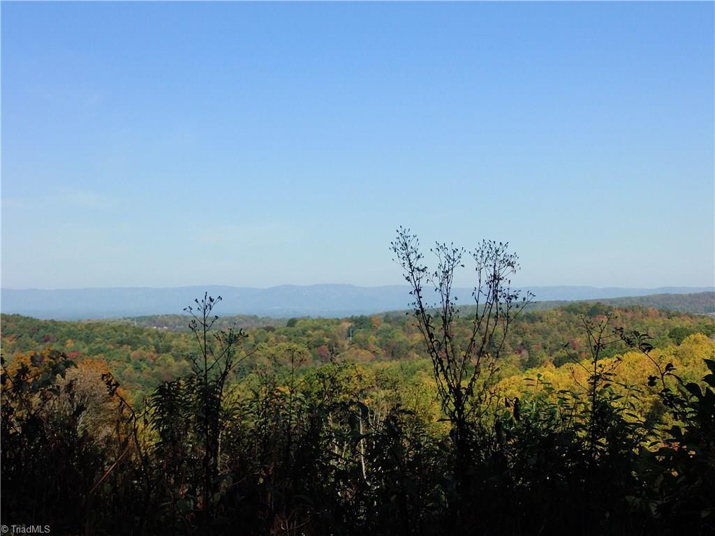 10.64 Cook School Road Pilot Mountain, NC 27041 - Photo 8 of 9 Gallery Image 8