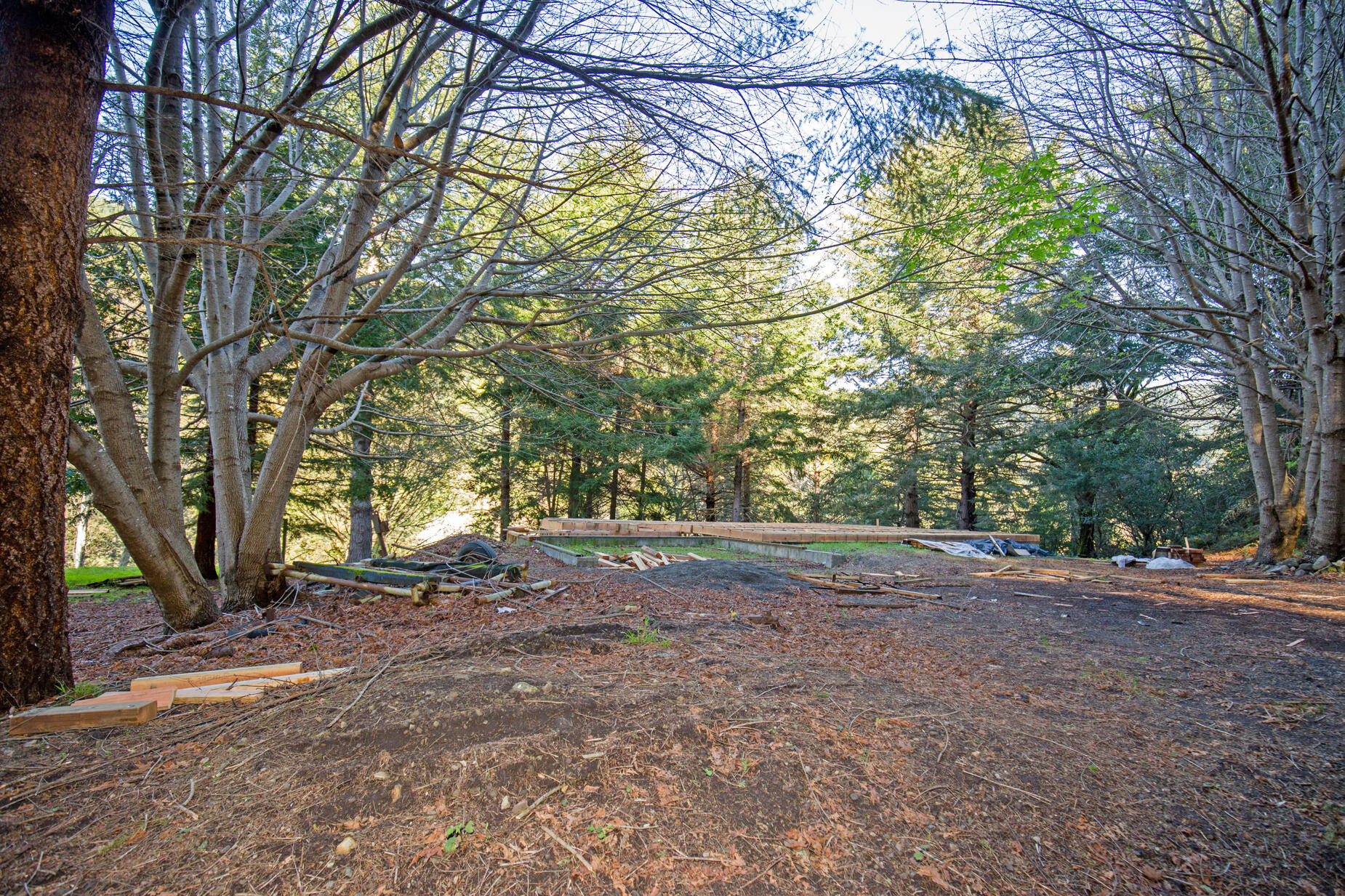 515 Beach Road Shelter Cove, CA 95589 - Photo 17 of 31