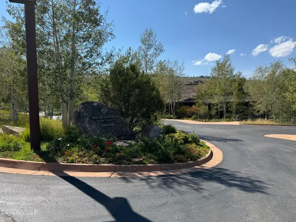 a view of a dry yard with green space