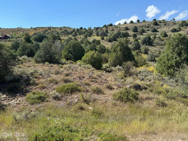 a view of a large tree with a yard