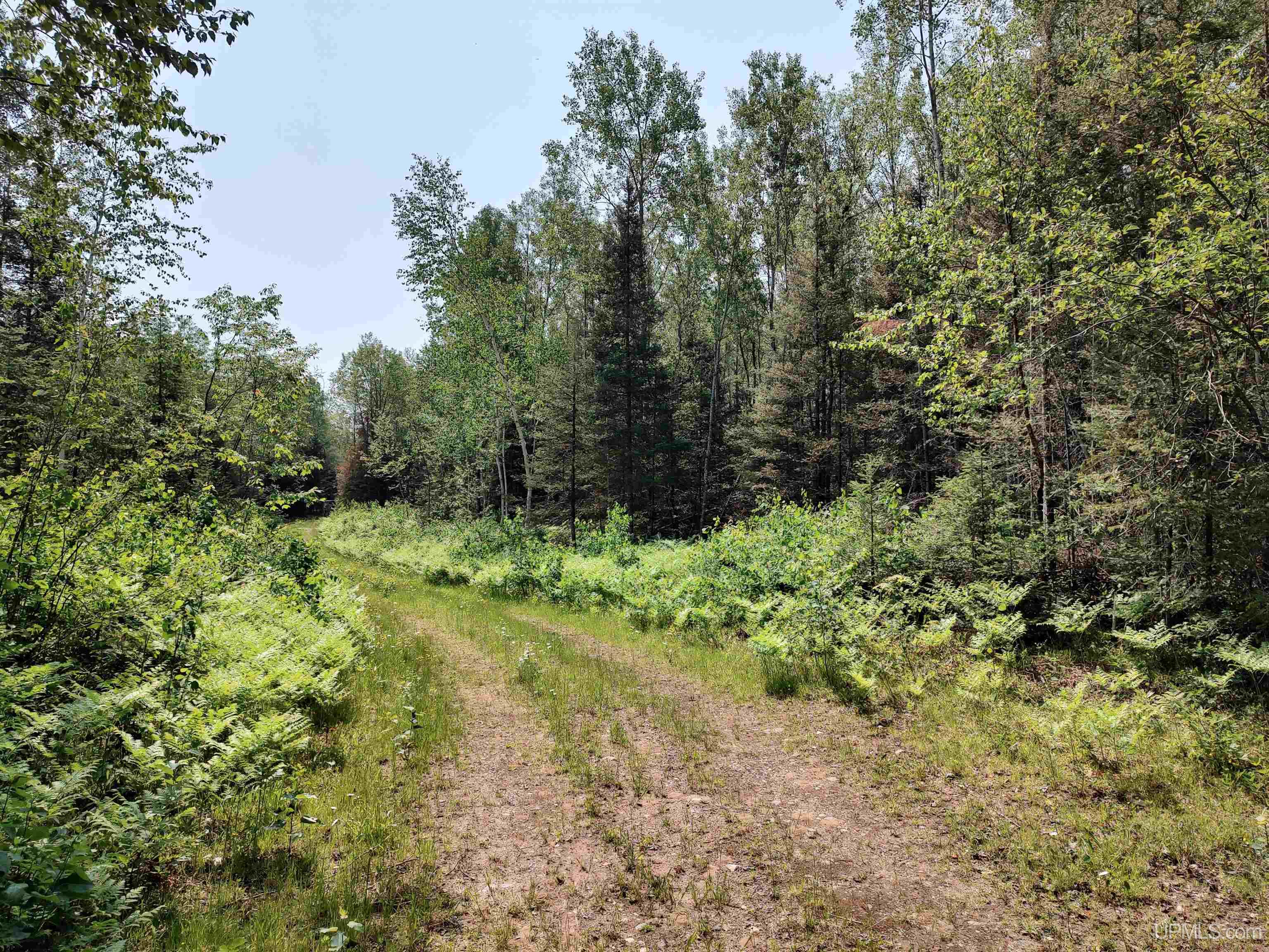 601 County Road 601 Road Republic, MI 49879 - Photo 22 of 60