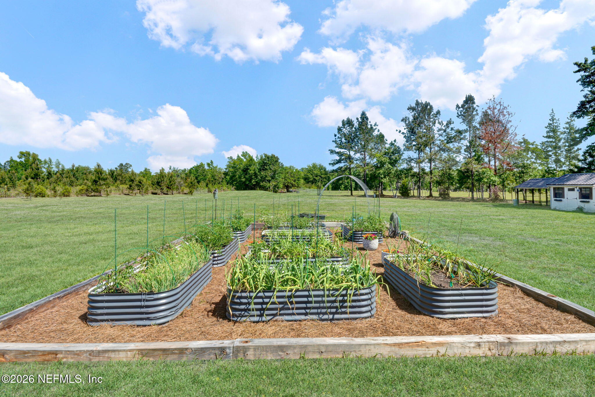 57353 Sandy Oaks Lane Callahan, FL 32011 - Photo 33 of 61 57353 Sandy Oaks Lane, Callahan, FL