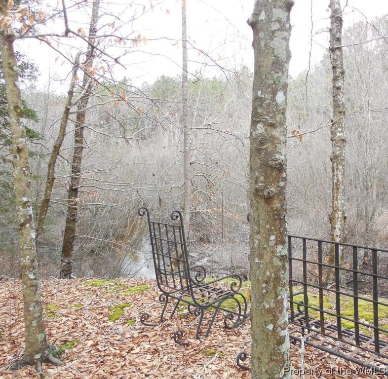 0 Ruthville Road Charles City, VA 23030 - Photo 6 of 7 Gallery Image 6