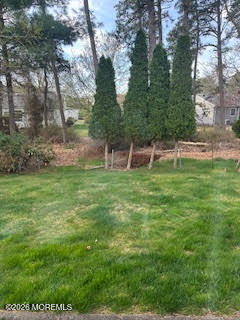56 Auburn Road Toms River, NJ 08757 - Photo 12 of 13 Backyard