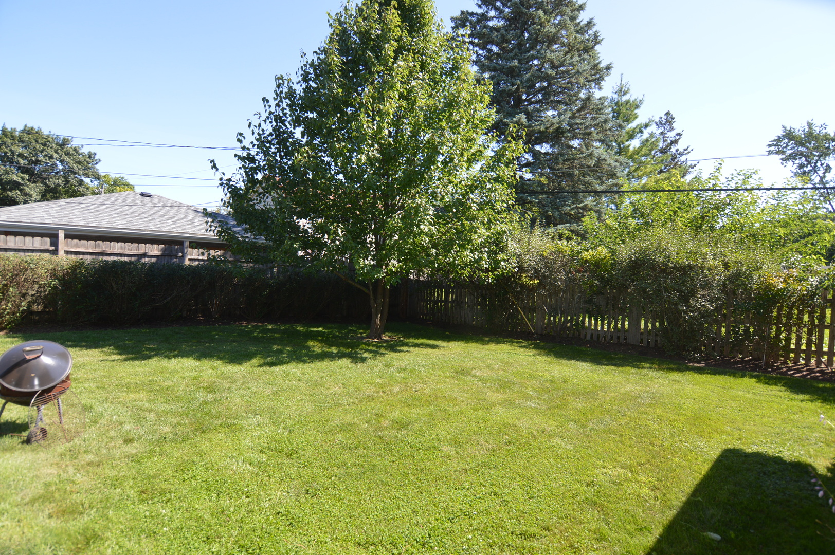 414 Brown Street Wauconda, IL 60084 - Photo 27 of 29 a backyard of a house with lots of green space