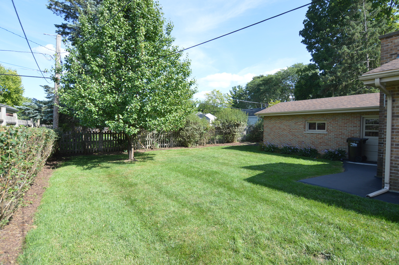 414 Brown Street Wauconda, IL 60084 - Photo 28 of 29 a view of a backyard with plants and large trees