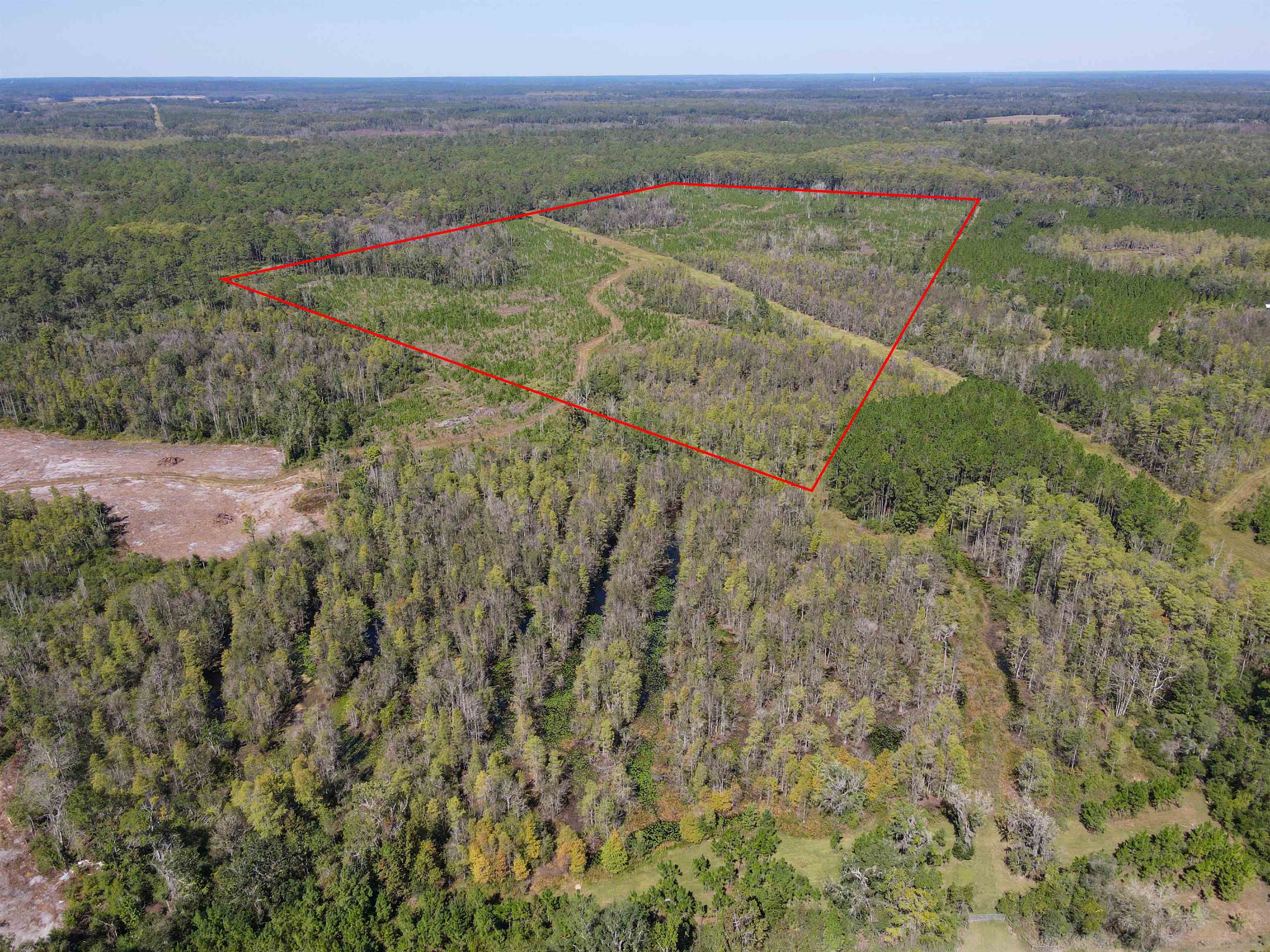 0 Southwest Mount Gilead Road Greenville, FL 32331 - Photo 6 of 33