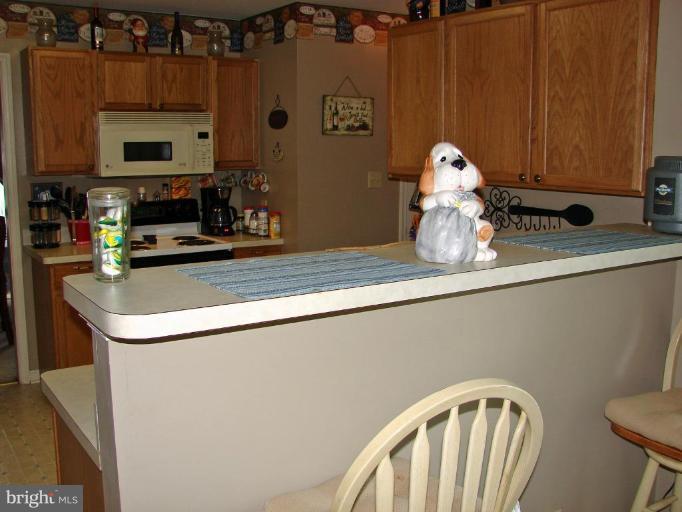 8611 Passapatanzy Road King George, VA 22485 - Photo 5 of 13 Kitchen #2