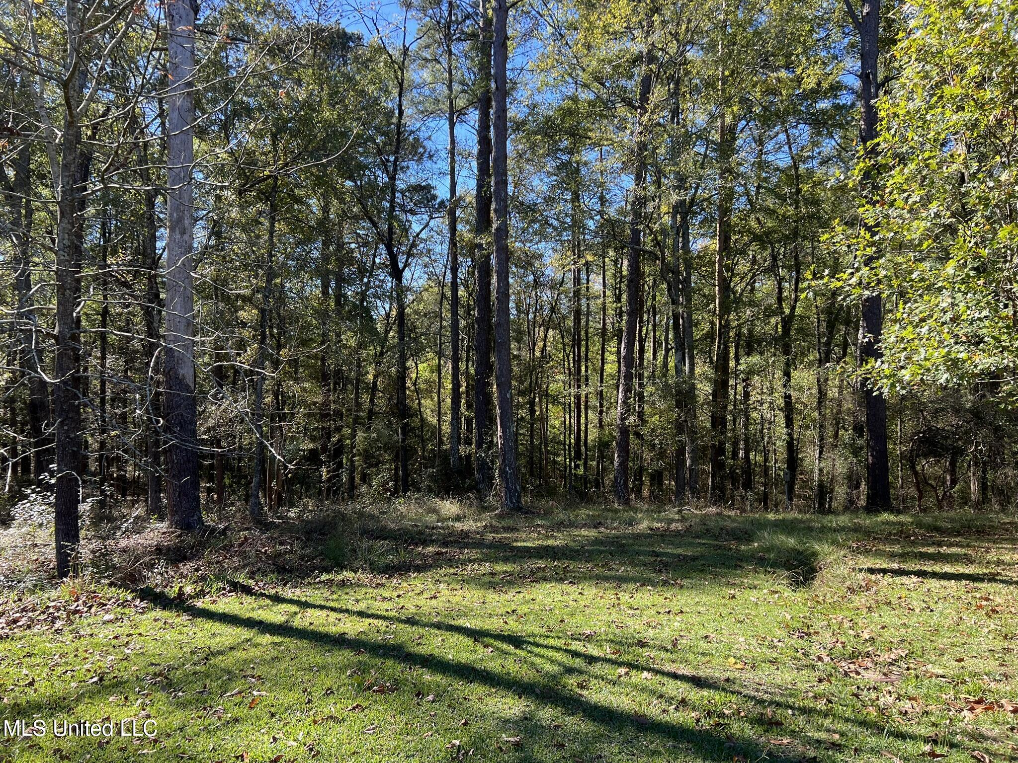 16799 Midway Road Terry, MS 39170 - Photo 36 of 38 IMG_7858