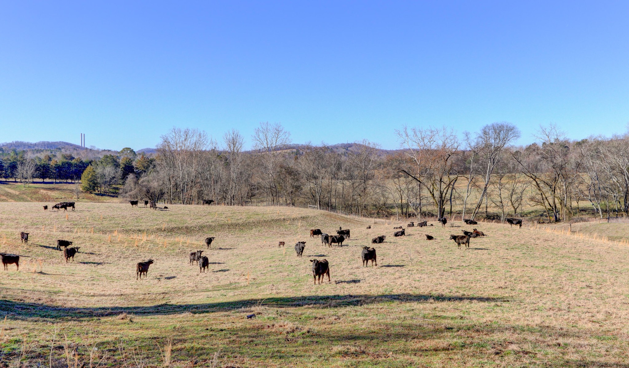115 Suddath Road Harriman, TN 37748 - Photo 36 of 36 Gallery Image 36