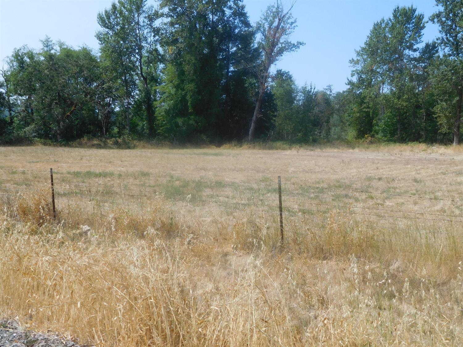 2180 Dick George Road Cave Junction, OR 97523 - Photo 8 of 34 Pasture is all fenced, great for livesto