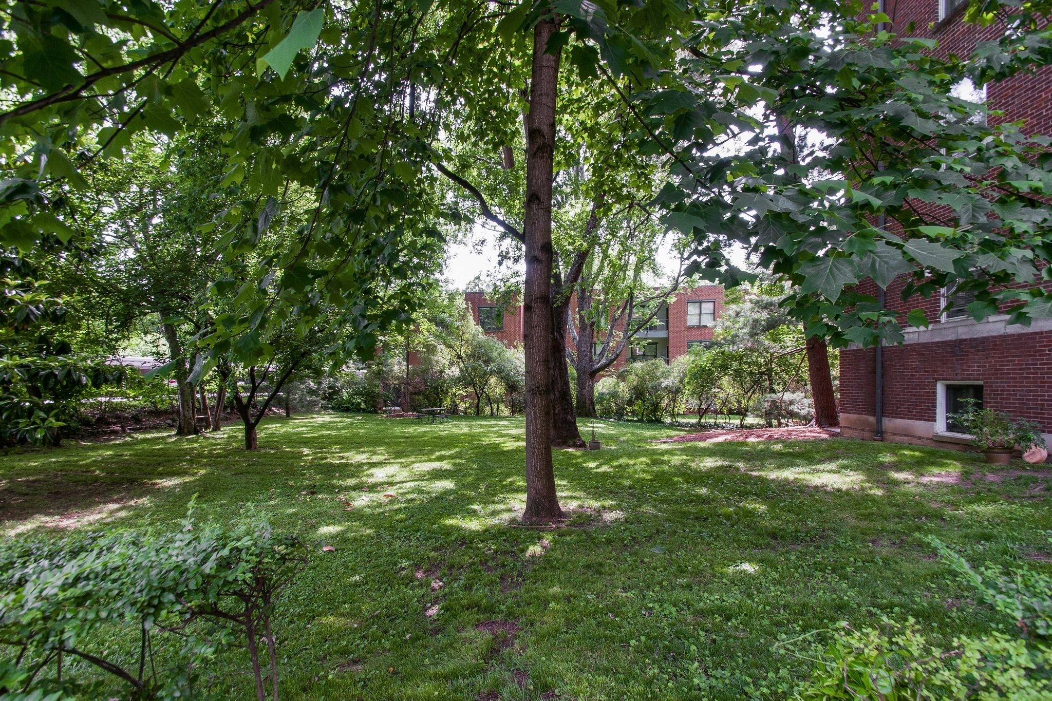4225 Harding Pike, Unit 603 Nashville, TN 37205 - Photo 56 of 59 a view of a backyard with large trees