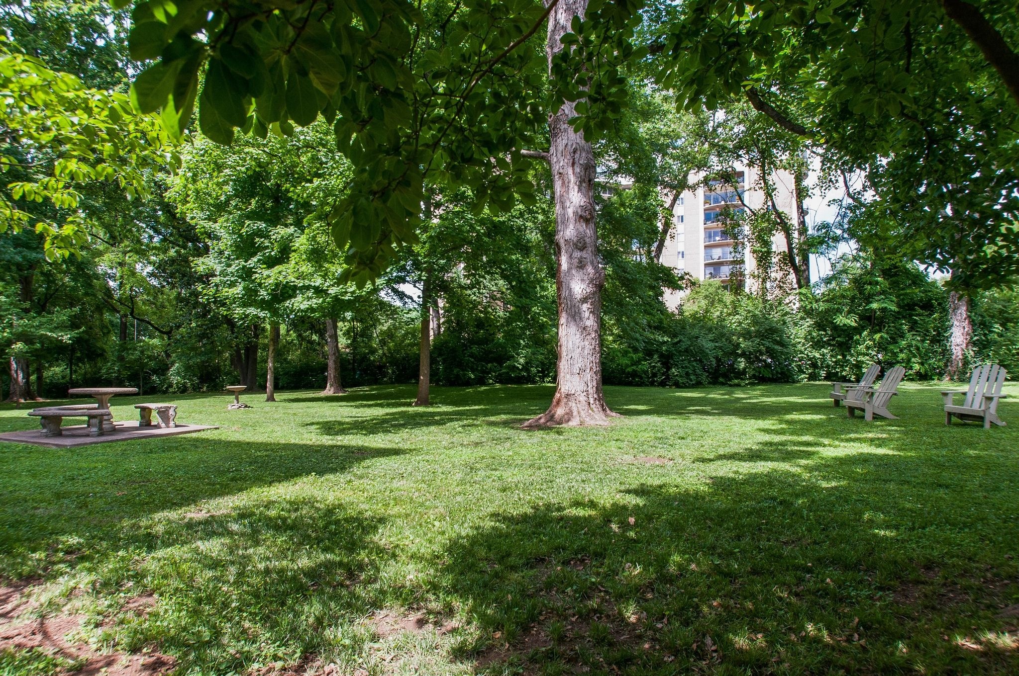 4225 Harding Pike, Unit 603 Nashville, TN 37205 - Photo 57 of 59 a view of a backyard with large trees