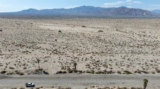 a view of a dry yard