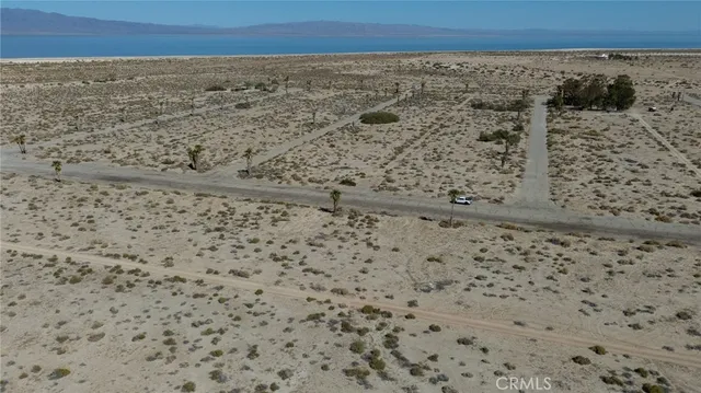 a black and white photo of a painting