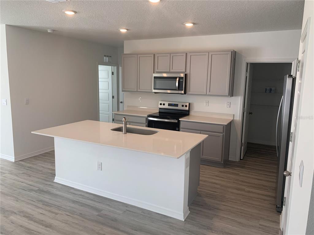 3425 Nettle Loop Tavares, FL 32778 - Photo 2 of 20