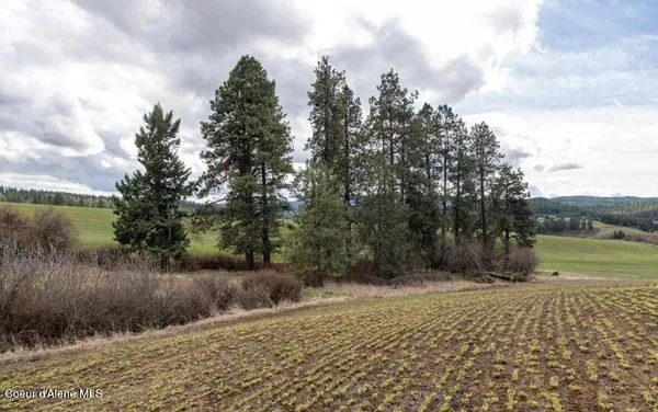 $250,000 | Nka Clifford Road, Princeton, ID 83857