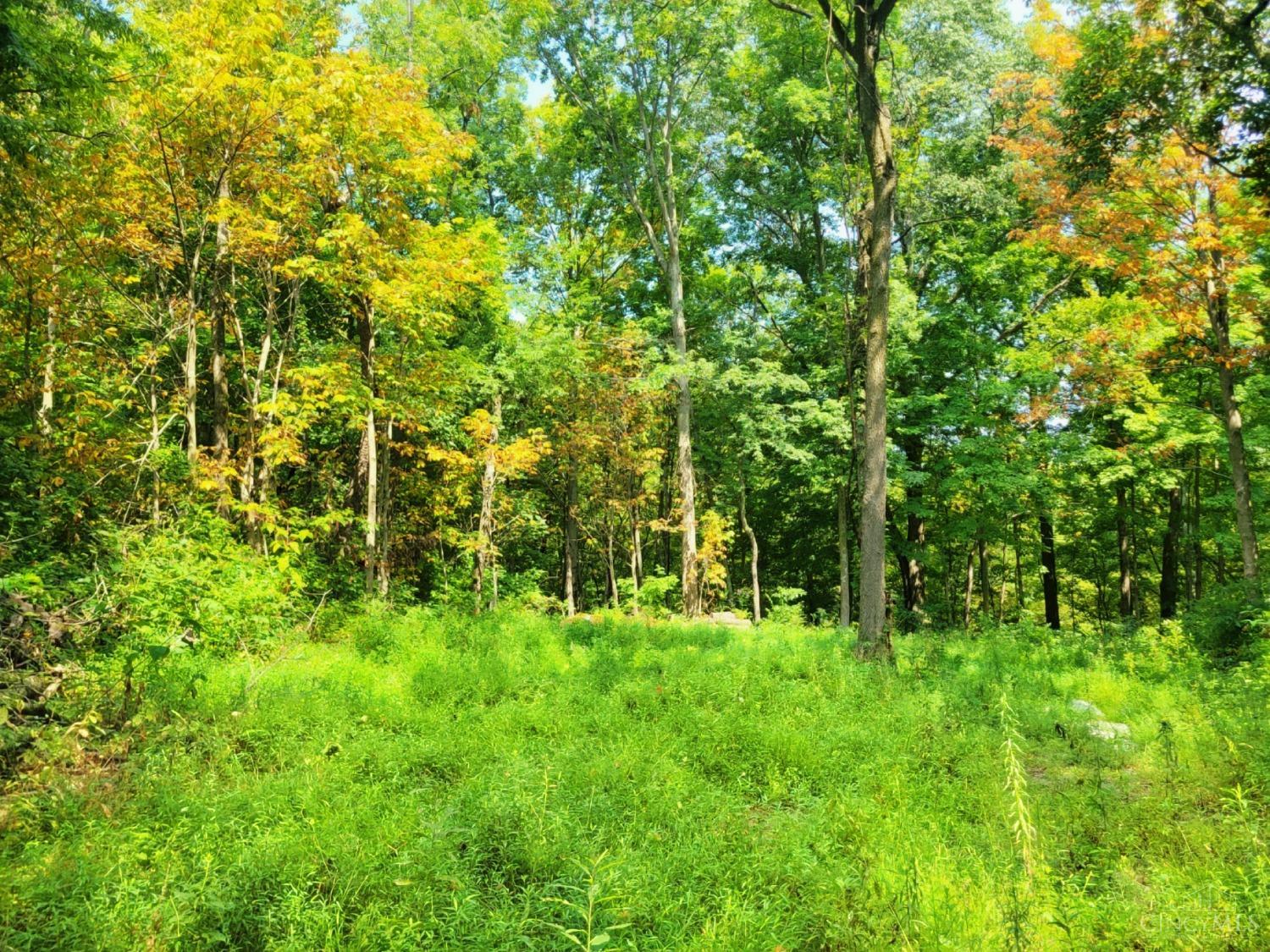 3.52-ac Hopewell Road Felicity, OH 45120 - Photo 2 of 14 Gallery Image 2