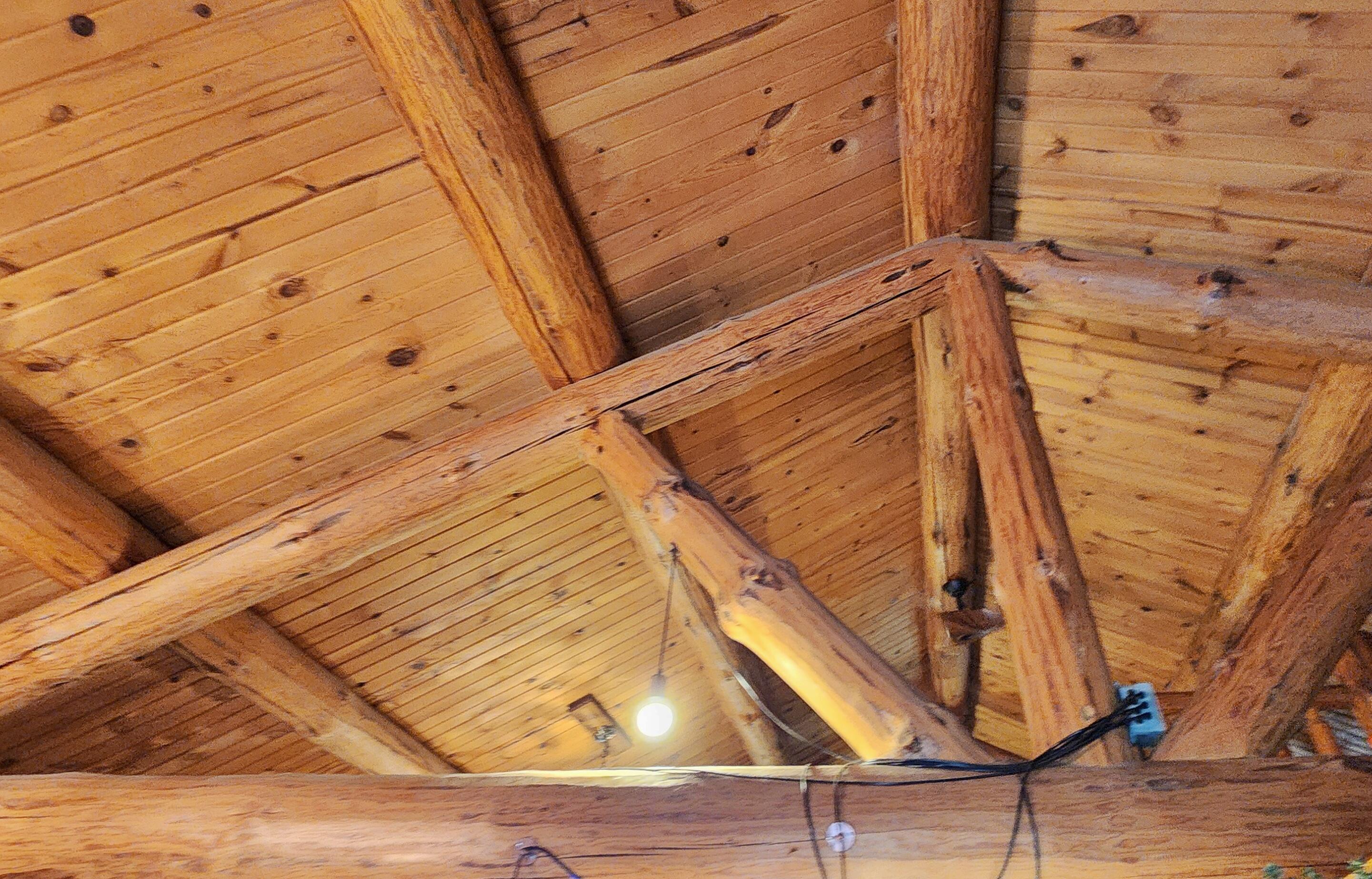 9557 East Anthony Road Branch, MI 49402 - Photo 17 of 98 Vaulted