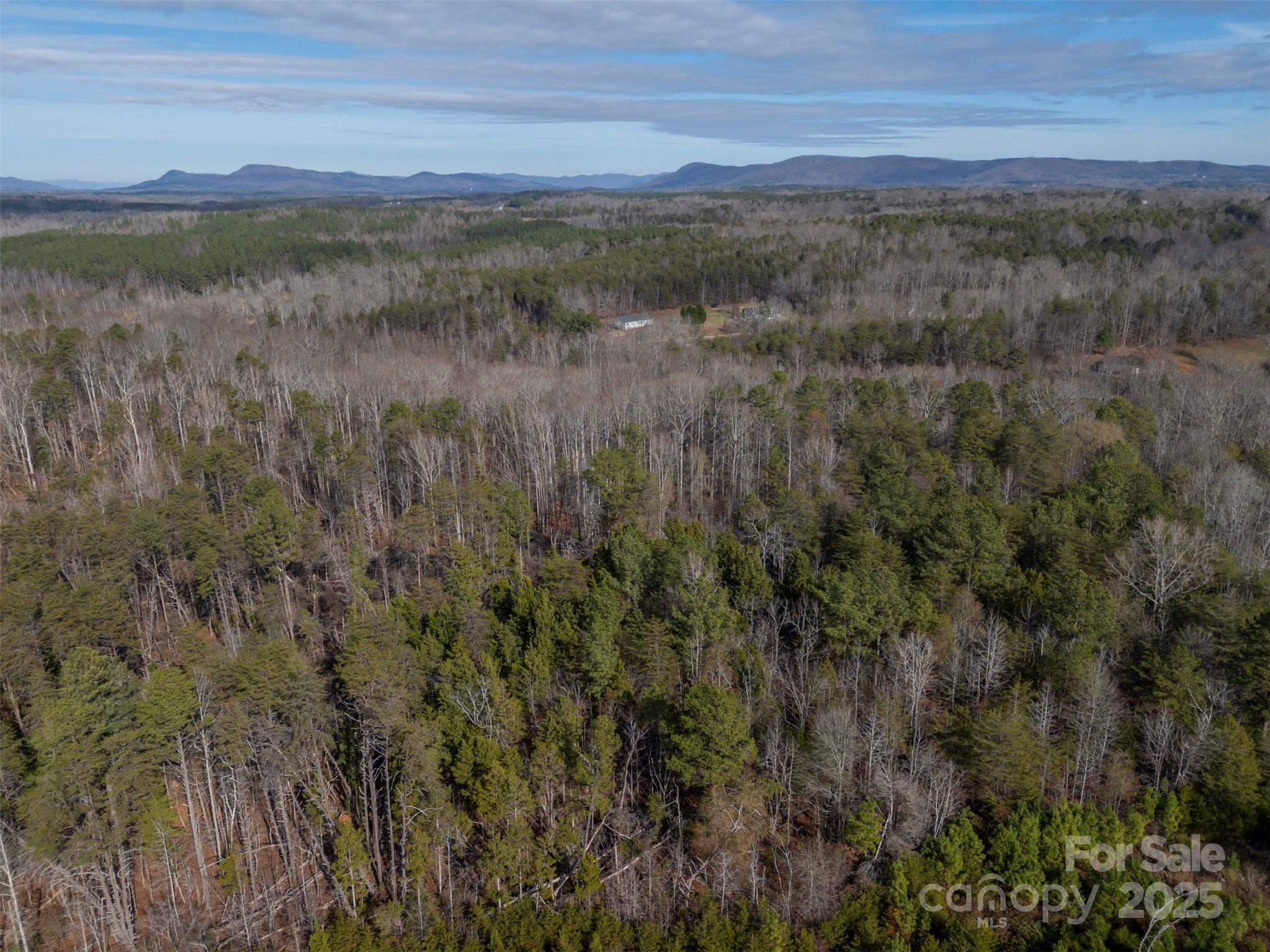 201 Harris Street Bostic, NC 28018 - Photo 11 of 11 a view of a lush green field