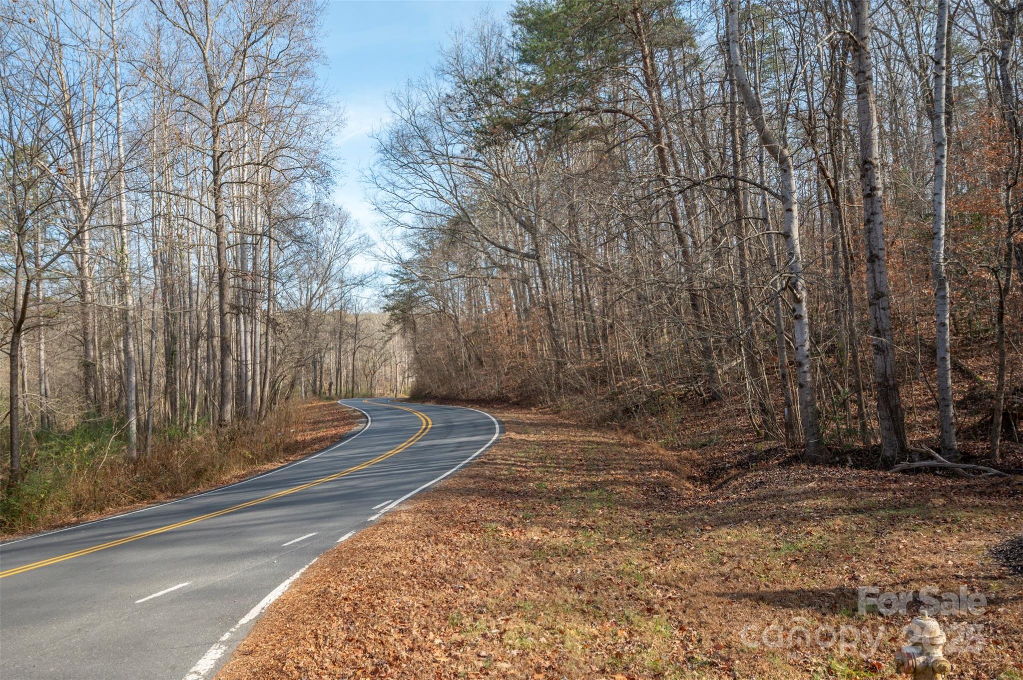 201 Harris Street Bostic, NC 28018 - Photo 3 of 11 a view of a yard with large trees