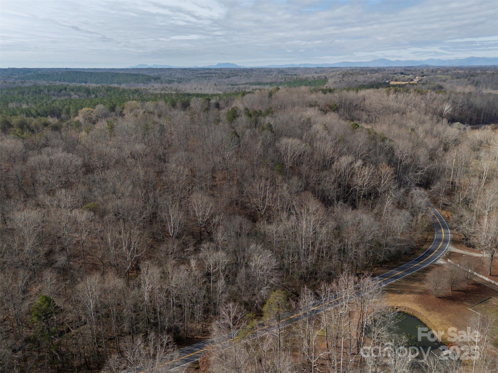 201 Harris Street Bostic, NC 28018 - Photo 6 of 11 a view of a forest with trees in the background