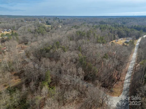 an aerial view of forest