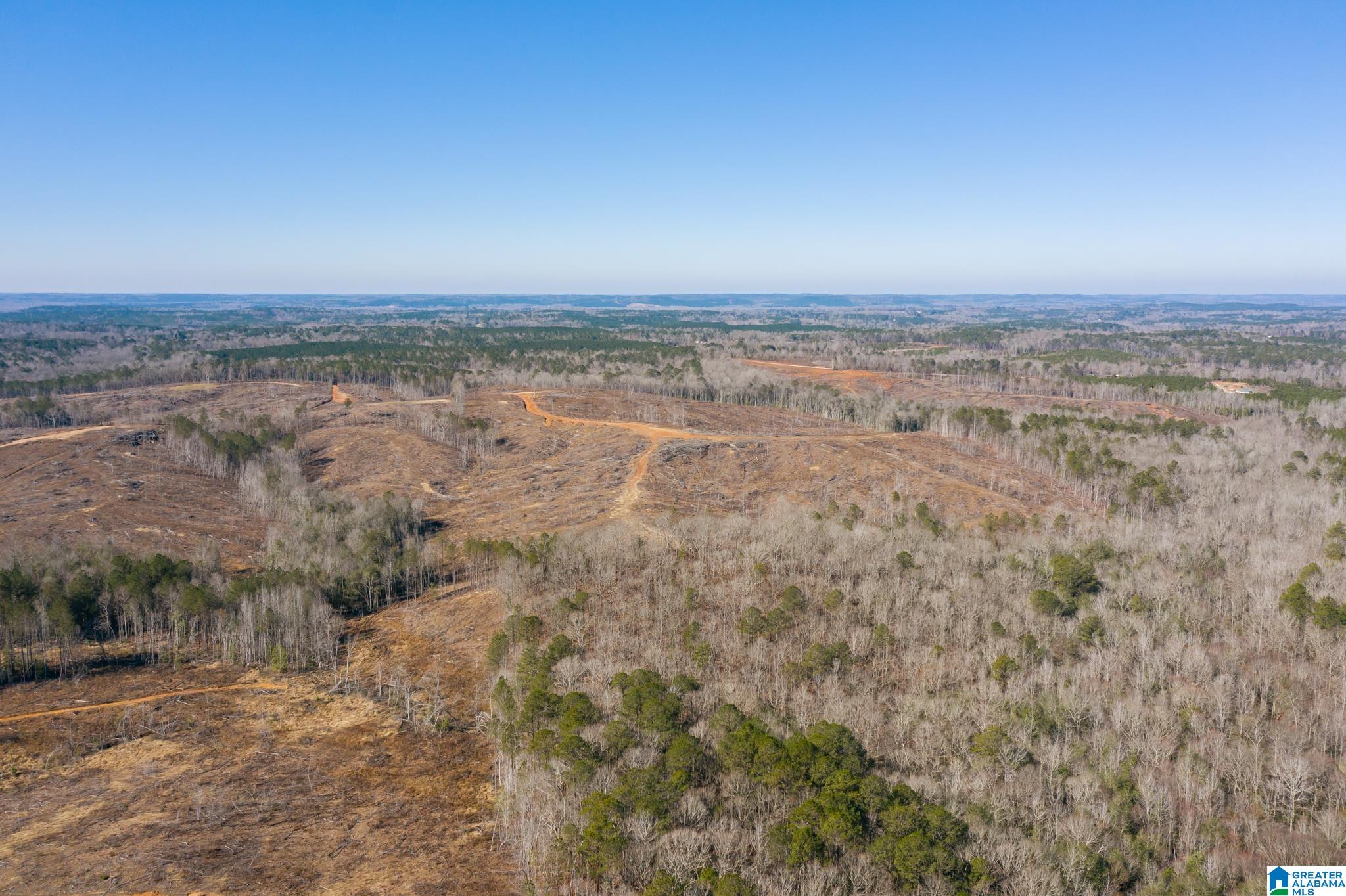 0 Harless Road Northport, AL 35475 - Photo 29 of 34