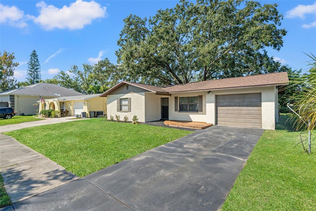 5828 Mariposa Drive Holiday, FL 34690 - Photo 4 of 29