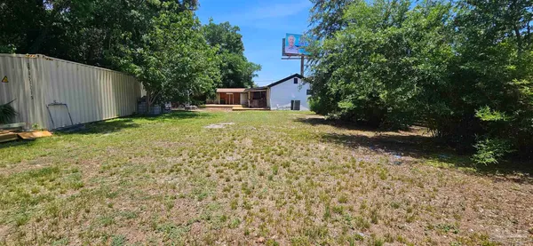 a backyard of a house with plants and large trees