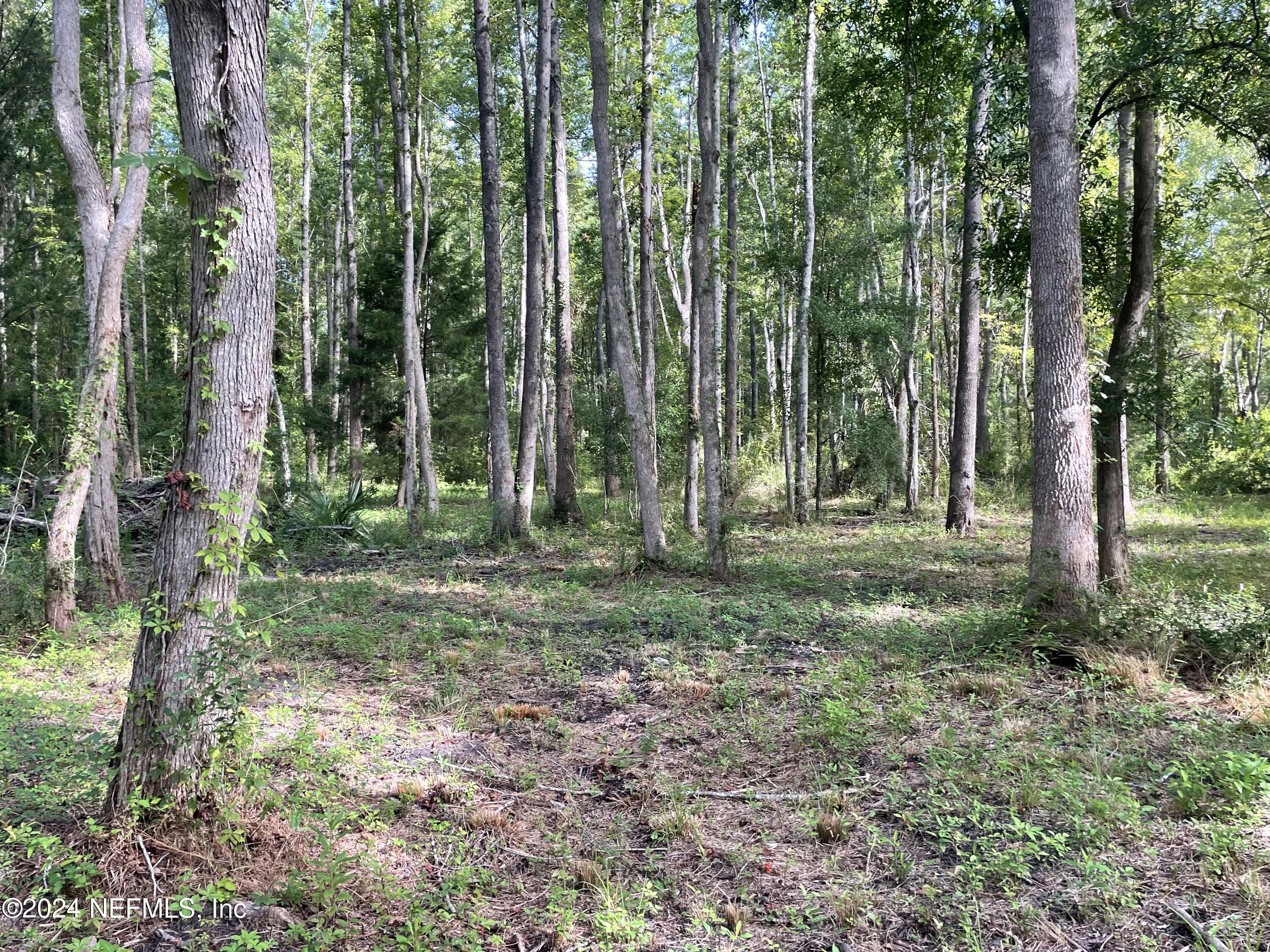0 Sunrise Farms Road Middleburg, FL 32068 - Photo 2 of 5 a view of outdoor space and green space