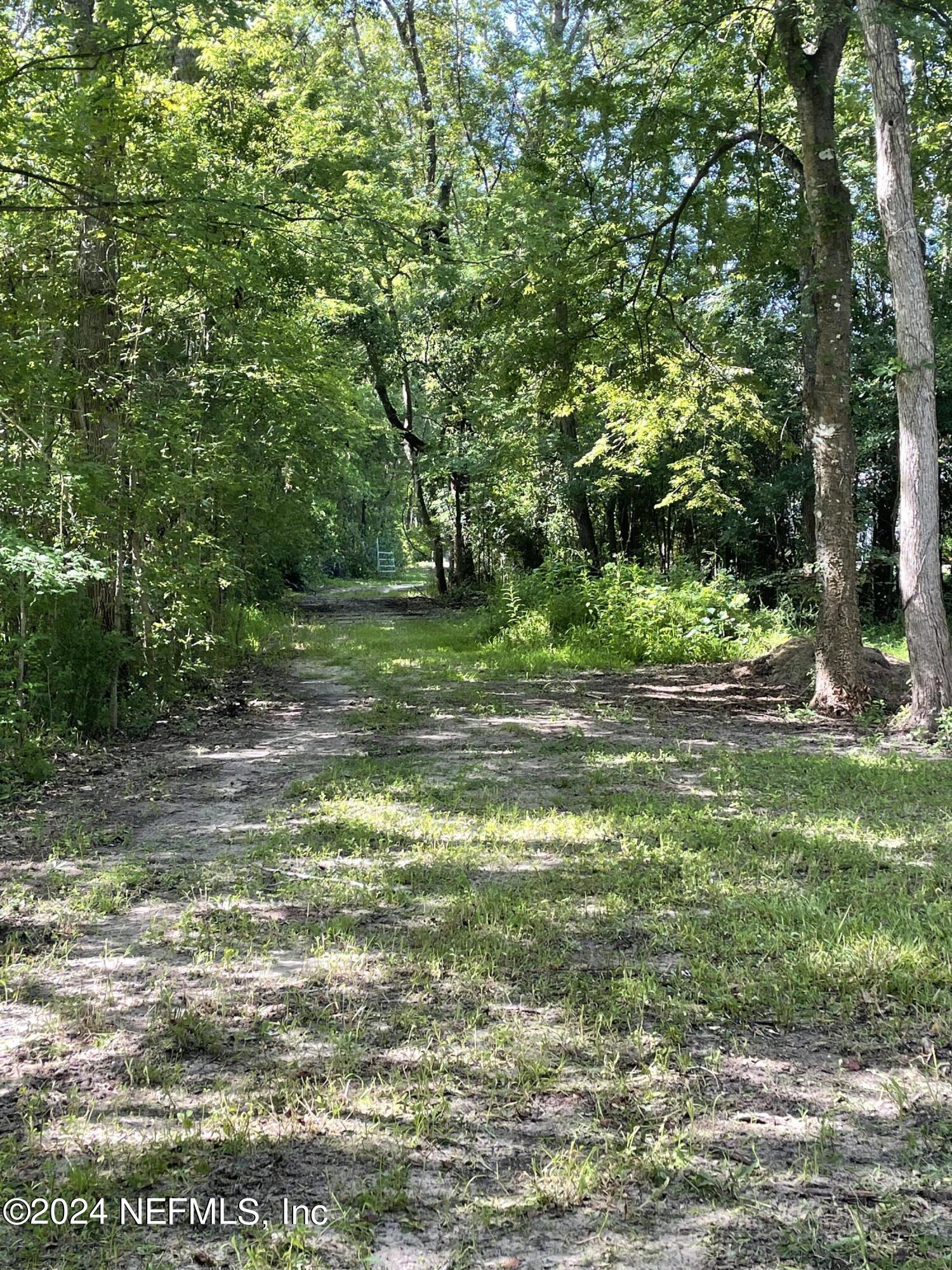 0 Sunrise Farms Road Middleburg, FL 32068 - Photo 3 of 5 a view of a park