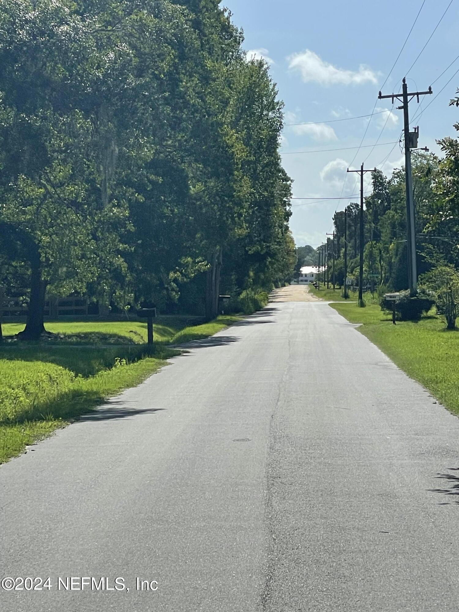 0 Sunrise Farms Road Middleburg, FL 32068 - Photo 4 of 5 a view of a park with large trees