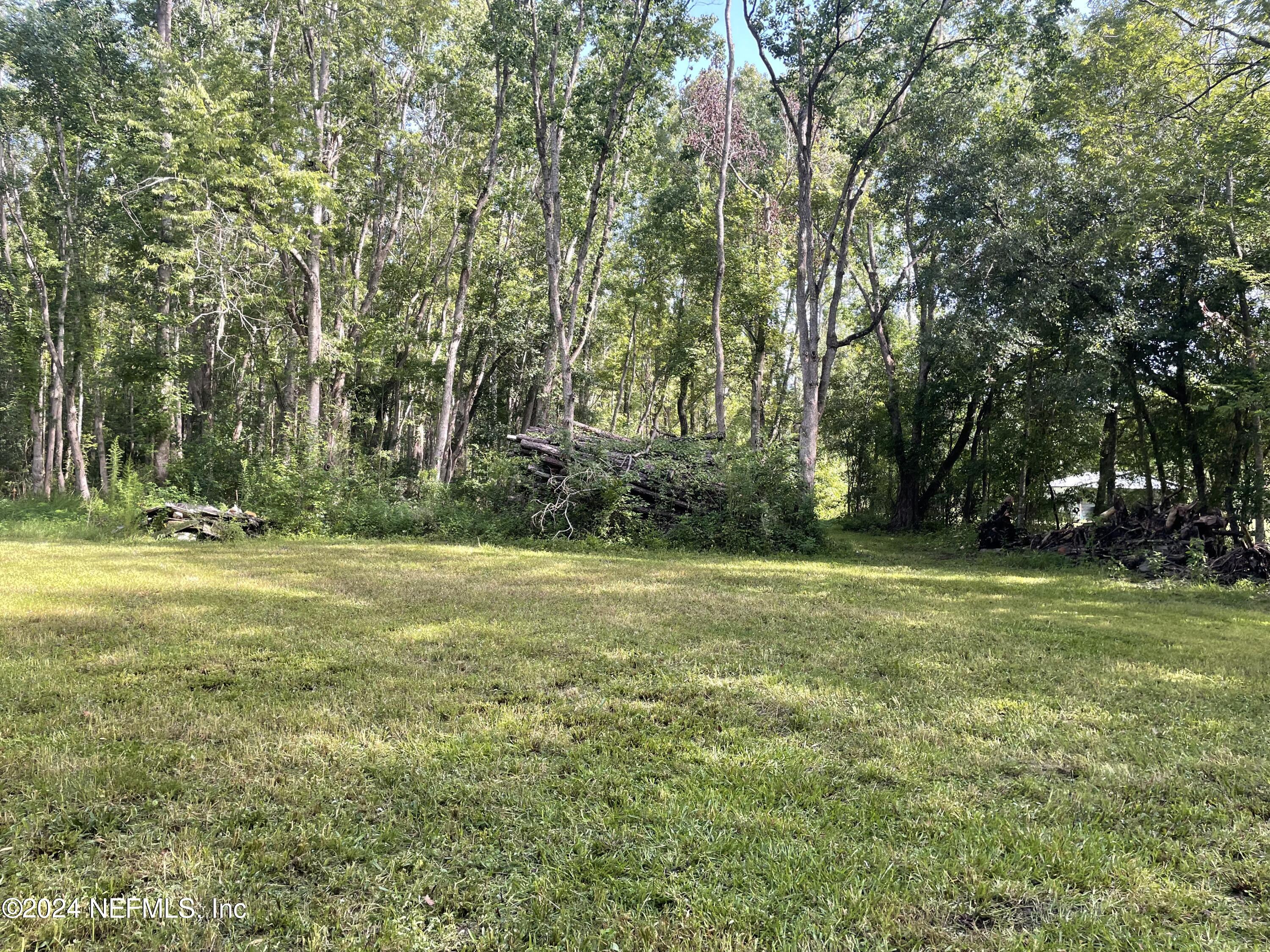 0 Sunrise Farms Road Middleburg, FL 32068 - Photo 5 of 5 a view of a field with trees