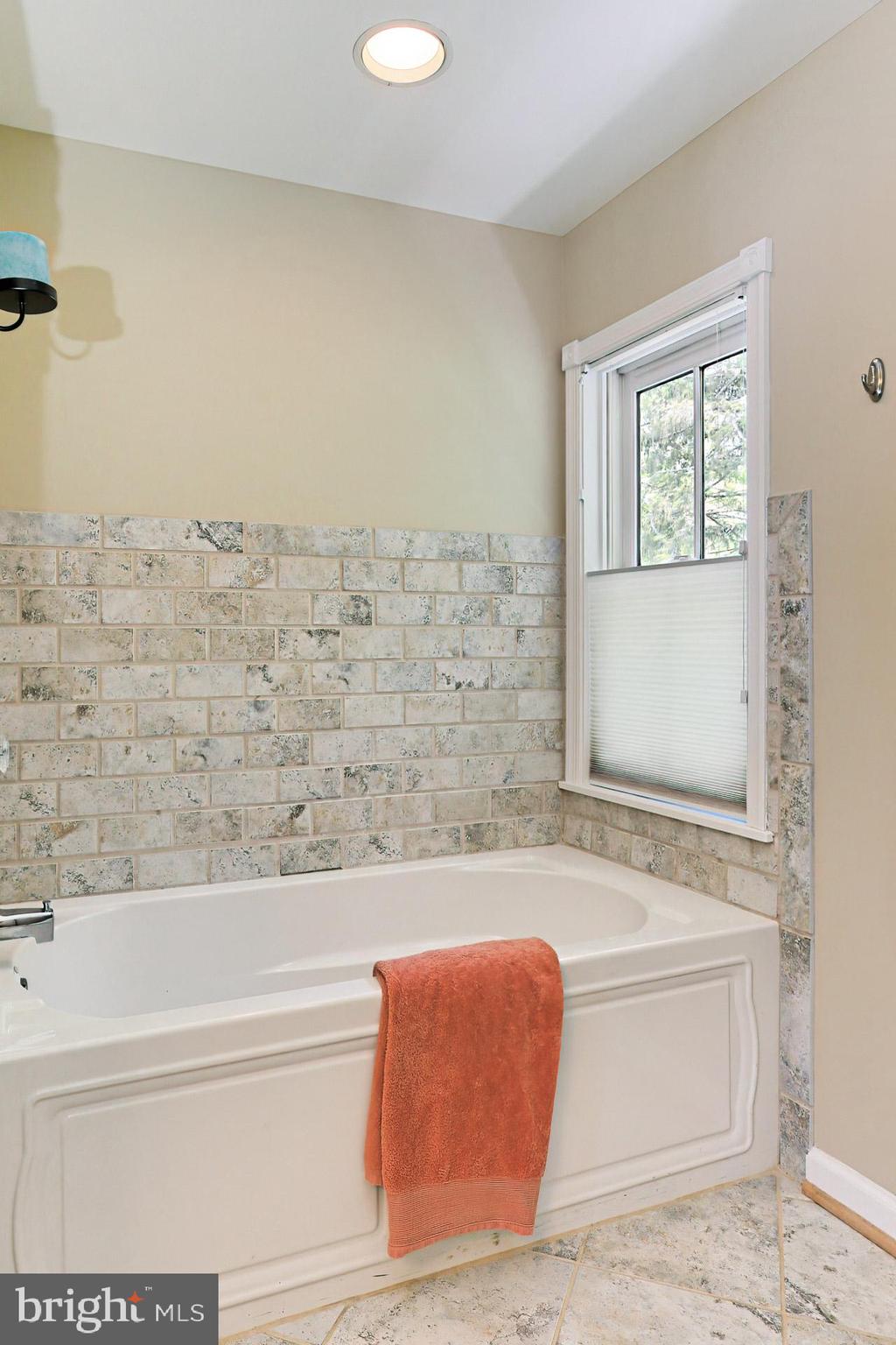 12635 Chapel Road Clifton, VA 20124 - Photo 29 of 62 Owners Bath - Soaking Tub