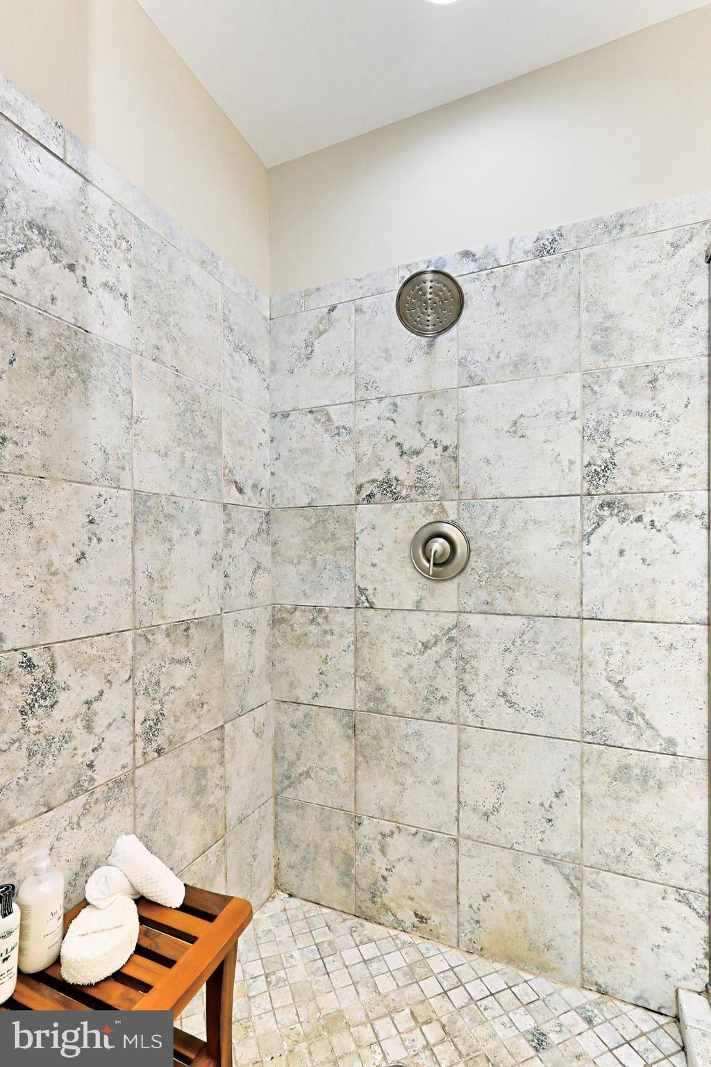 12635 Chapel Road Clifton, VA 20124 - Photo 30 of 62 Owner's Bath - Oversize Standup Shower