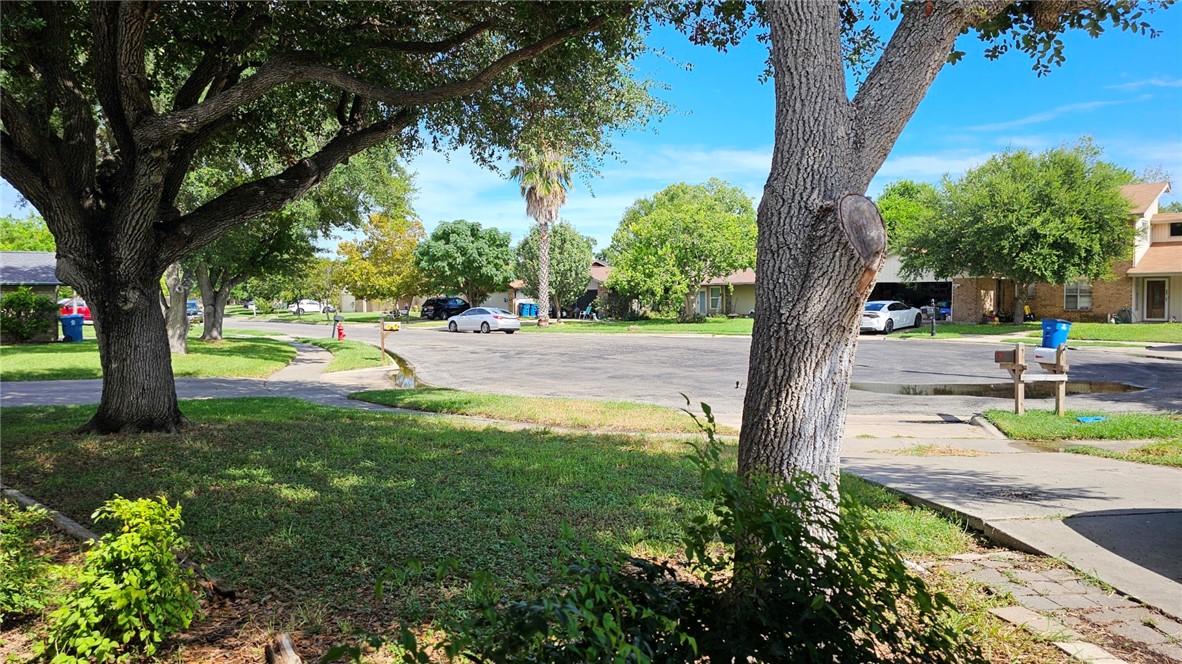903 Summit Circle Portland, TX 78374 - Photo 8 of 23 a view of a yard with plants and trees