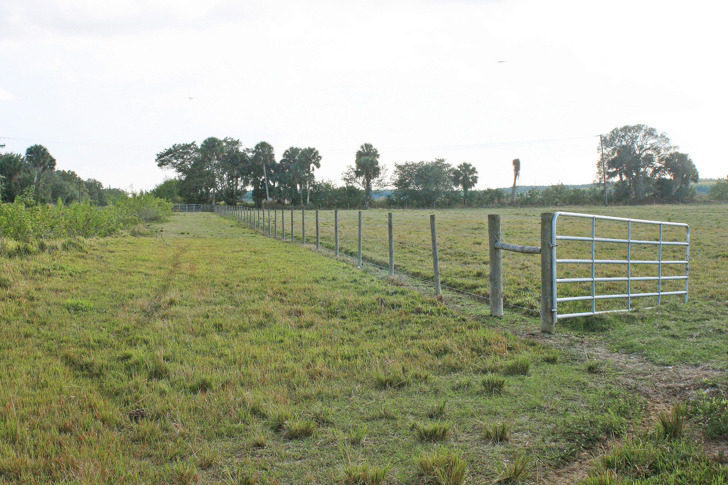 Xxx Trowbridge Road Fort Pierce, FL 34945 - Photo 15 of 15 IMG_0719
