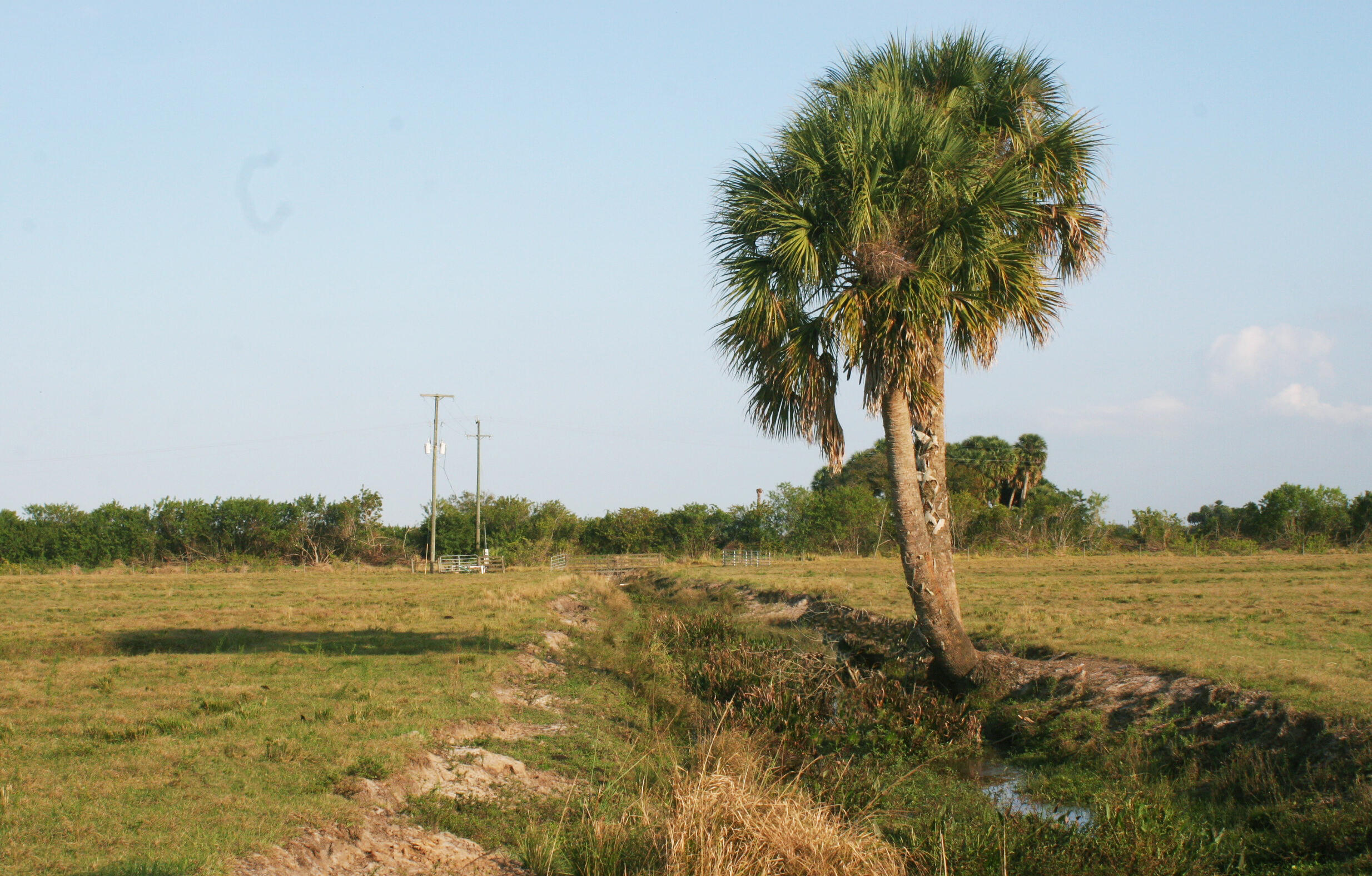 Xxx Trowbridge Road Fort Pierce, FL 34945 - Photo 6 of 15 IMG_0729