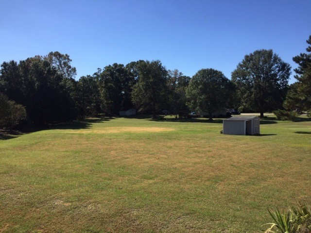 5000 Runon Circle Raleigh, NC 27603 - Photo 11 of 17 Rear Yard