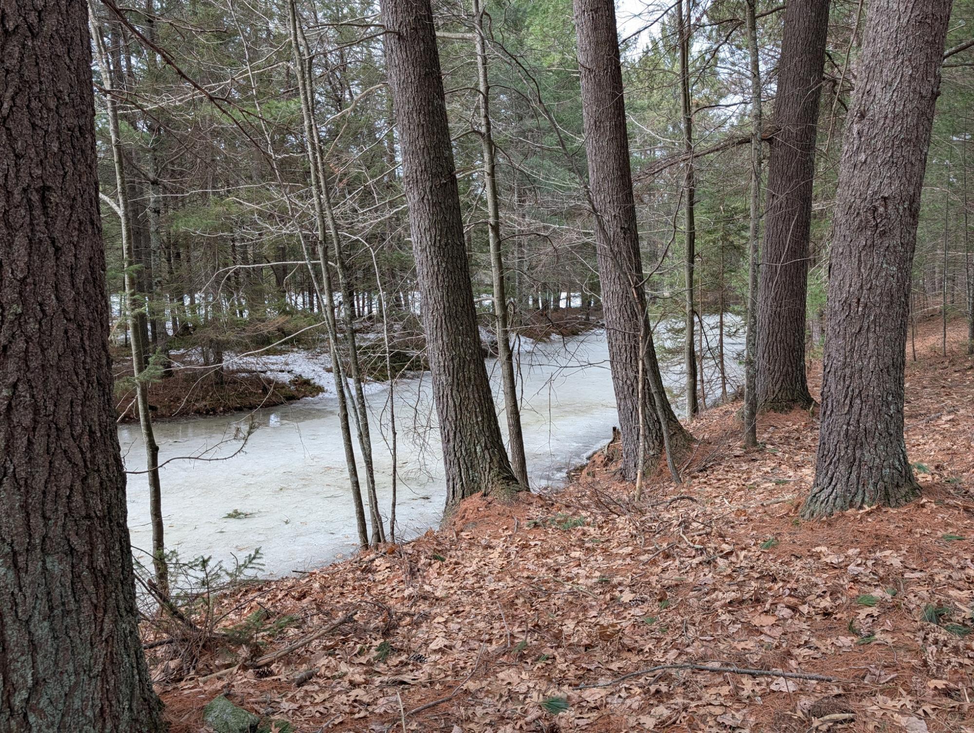 10228 Falcon Ridge Minocqua, WI 54548 - Photo 31 of 39 Gallery Image 31