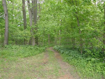 586 Elm Valley Road Galien, MI 49113 - Photo 11 of 24 Additional Photo