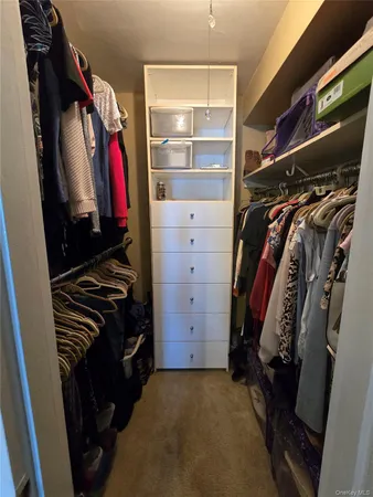 a view of walk in closet with clothes and shoes