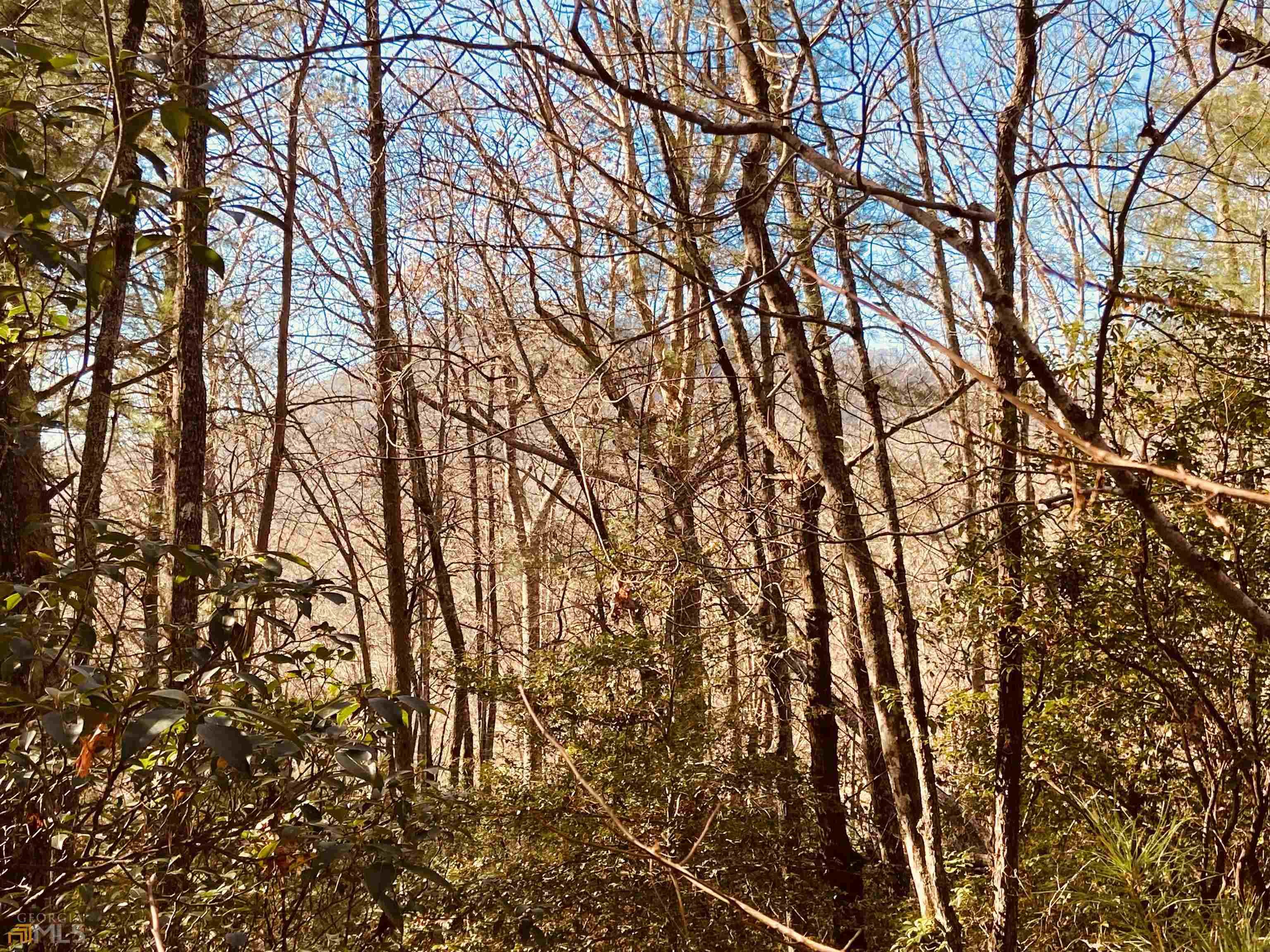 0 Barefoot Hill Road, Unit TRACT 1 Hiawassee, GA 30546 - Photo 12 of 13