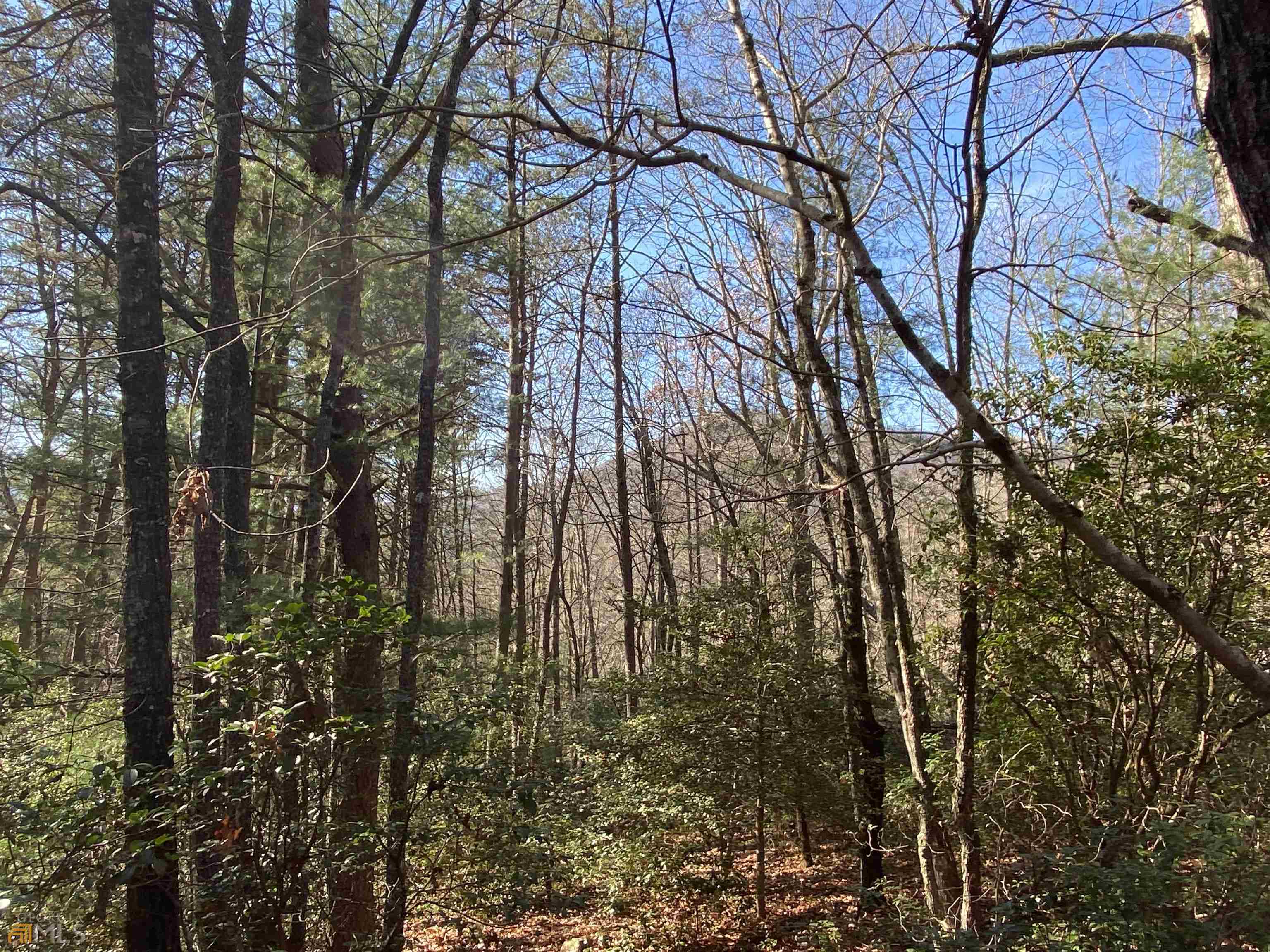 0 Barefoot Hill Road, Unit TRACT 1 Hiawassee, GA 30546 - Photo 13 of 13