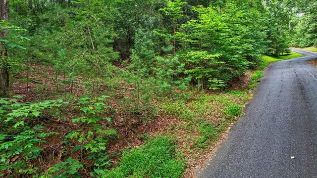 $39,900 | 0 Barefoot Hill Road, Unit TRACT 1, Hiawassee, GA 30546