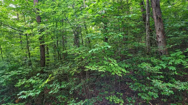 $39,900 | 0 Barefoot Hill Road, Unit TRACT 1, Hiawassee, GA 30546