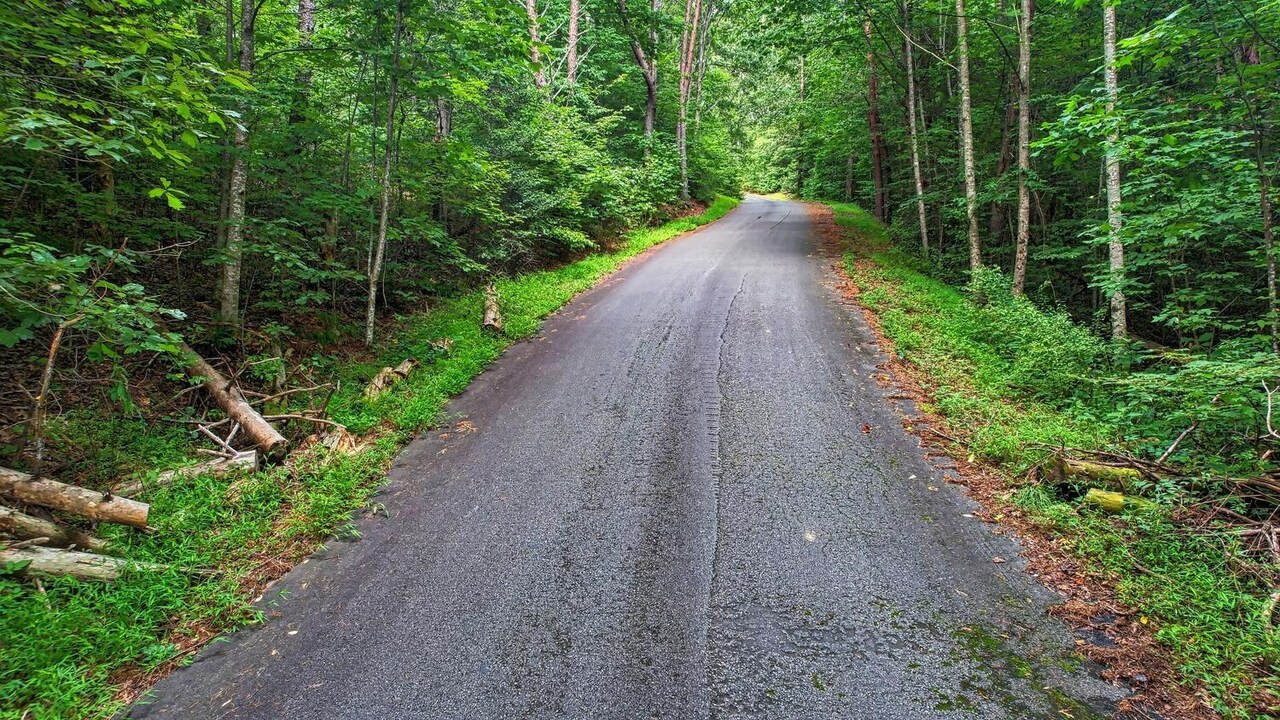 0 Barefoot Hill Road, Unit TRACT 1 Hiawassee, GA 30546 - Photo 9 of 13