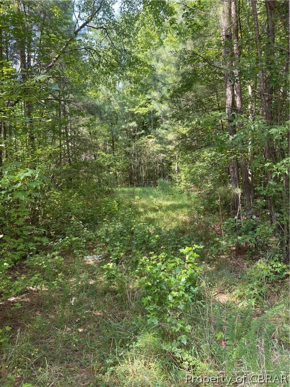 9712 Indian Road Gloucester, VA 23061 - Photo 1 of 7 Gallery Image 1